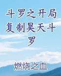 斗罗之开局复制昊天斗罗
