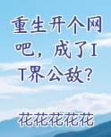 重生开个网吧，成了IT界公敌？
