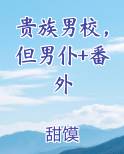 男子贵族校园日常 小说