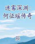 迷雾深渊：何征瑶传奇小说5200