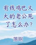 有钱鸡巴又大的老公死了怎么办？小说全文免费阅读