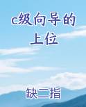c级向导的上位