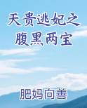 天贵逃妃之腹黑两宝