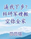 逼我下乡？科研军嫂搬空你全家原著小说