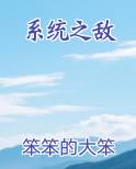 系统之敌