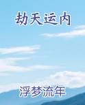 劫天运内