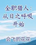 全职猎人：从日之呼吸开始