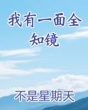 我有一面全知镜起点中文网