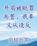 开局被贬罪兵营，我率义从造反免费下载