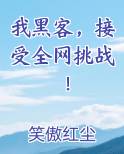 我黑客接受全网挑战笑傲红尘