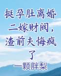 挺孕肚离婚二嫁财阀，渣前夫悔疯了