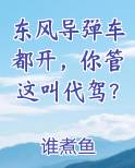 东风导弹车都开,你管这叫代驾?免费阅读