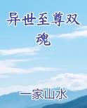 异世至尊双魂