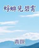 蜉蝣见碧霄