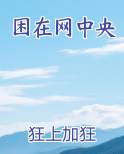 困在网中央